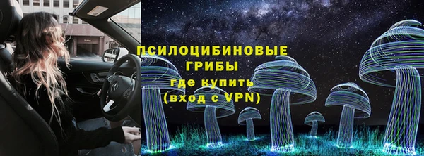 Альфа ПВП Балабаново
