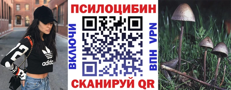 Галлюциногенные грибы Psilocybine cubensis  Кунгур 